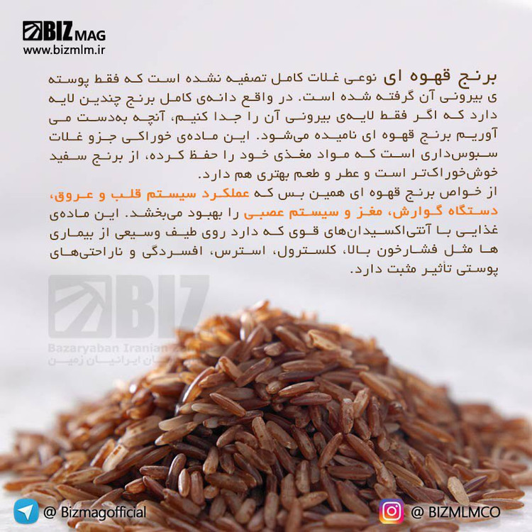 سبوس برنج بین استار 25 ساشه ای بیز